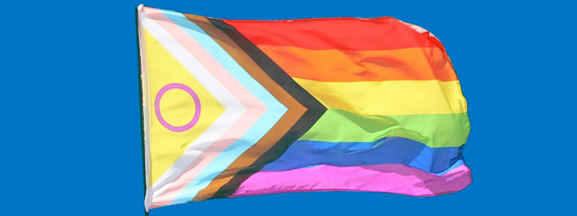 lgbtqia+ vlag