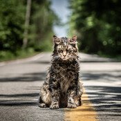 PetSematary1.jpg